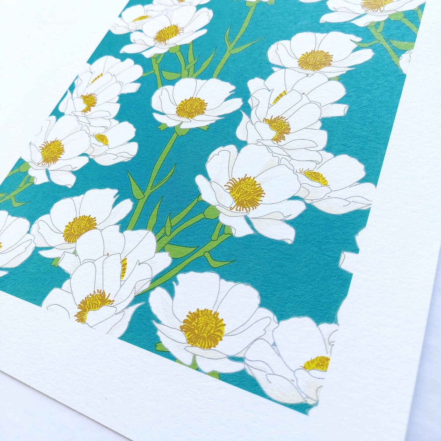 Mt Cook Buttercup Art Print