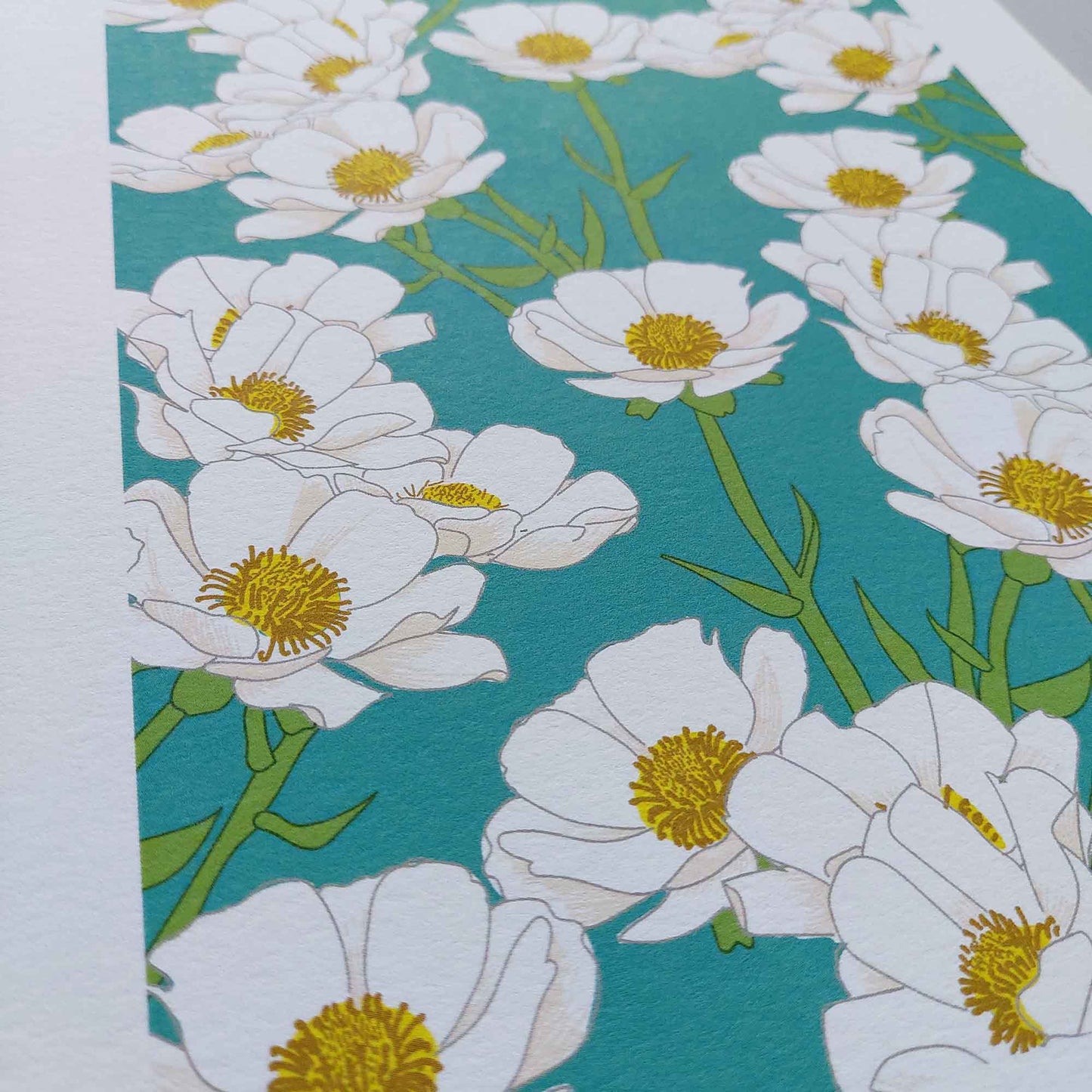 Mt Cook Buttercup Art Print
