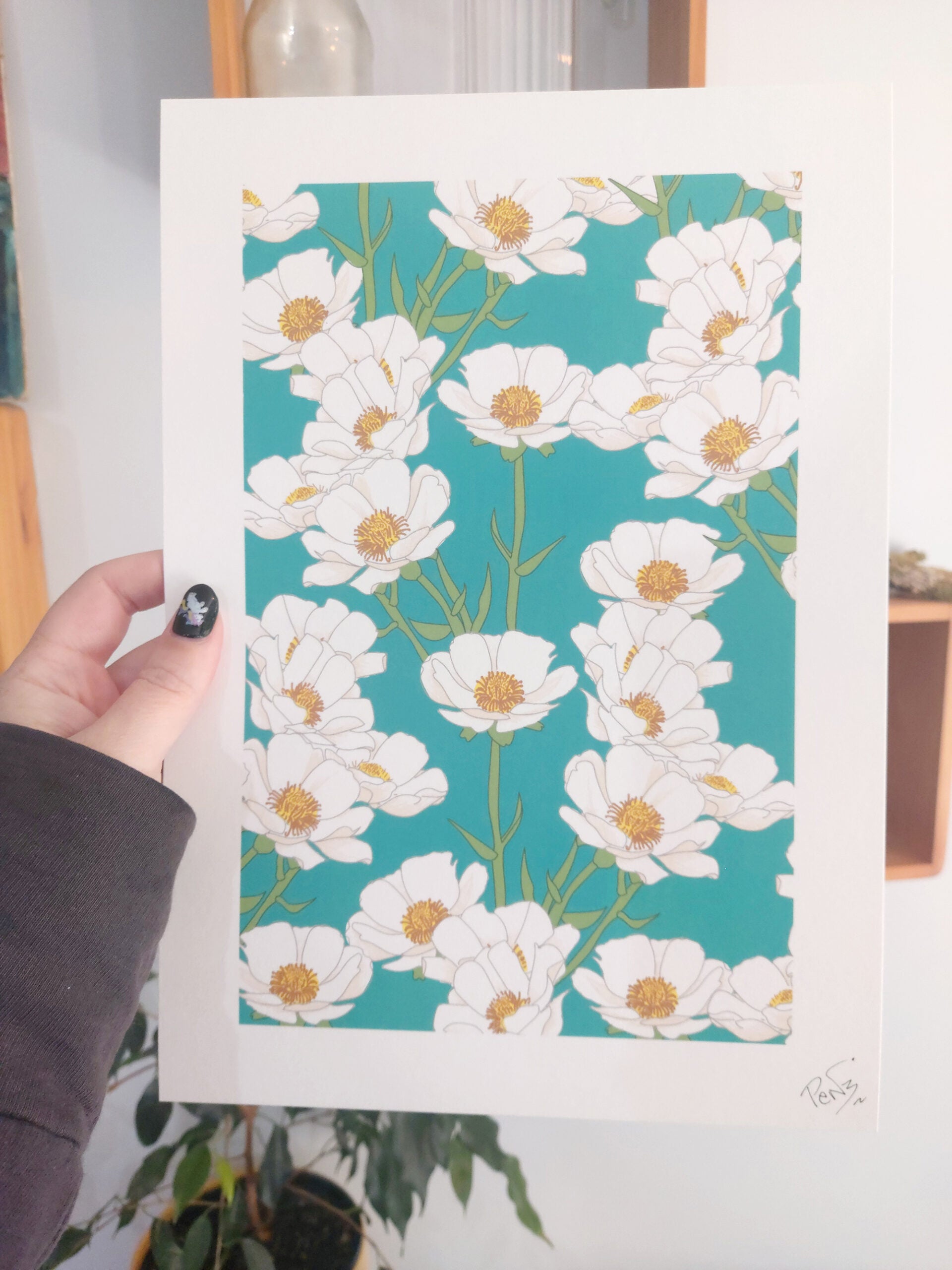 Mt Cook Buttercup Art Print