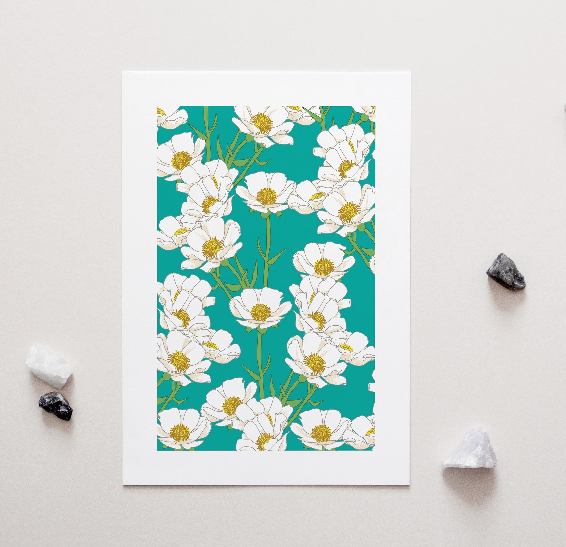 Mt Cook Buttercup Art Print