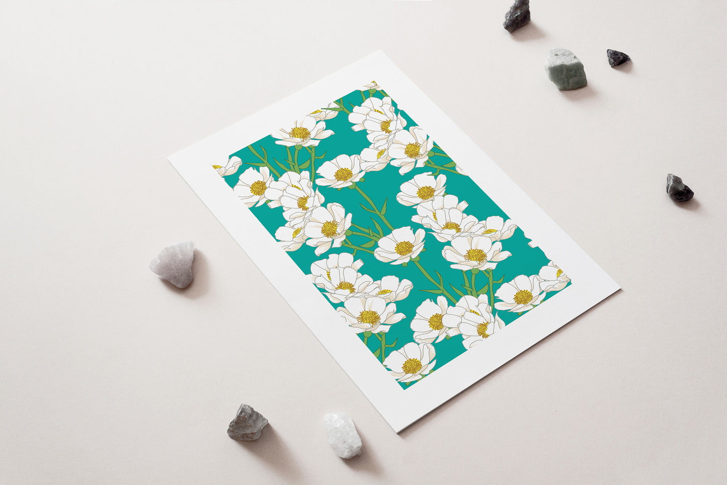 New Zealand Native Mount Cook Buttercup white teal Flower Art Print for sale