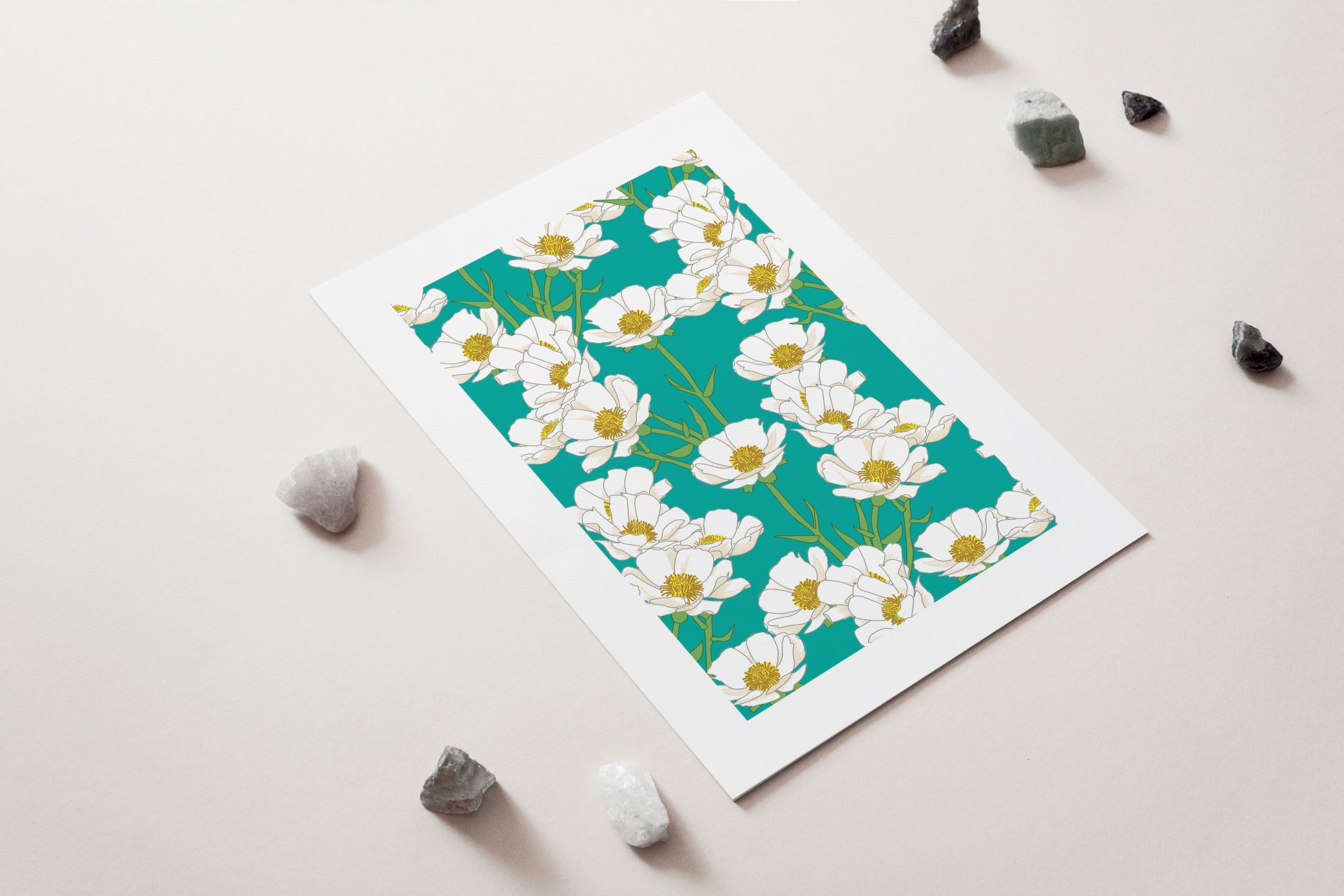 New Zealand Native Mount Cook Buttercup white teal Flower Art Print for sale